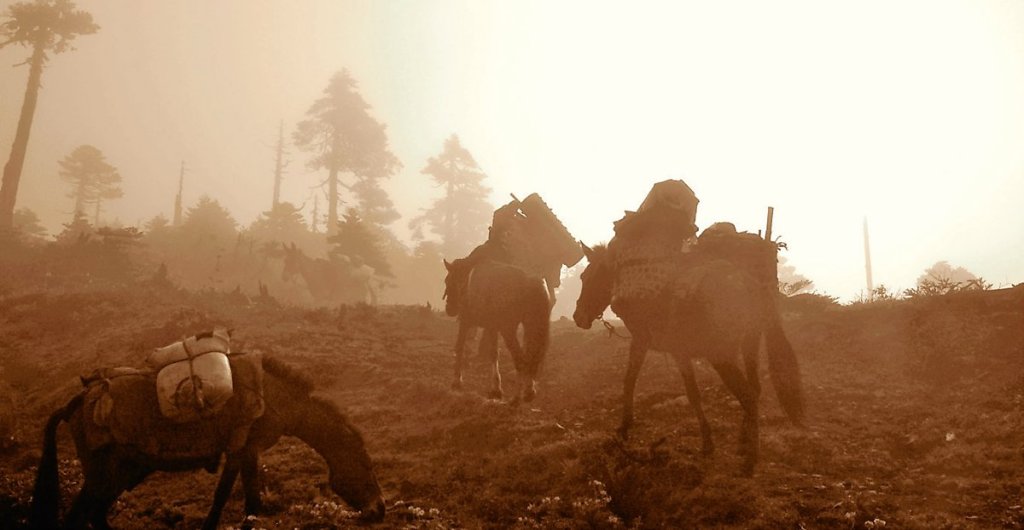 티를 마시는 다양한 방식 :&nbsp;제1기