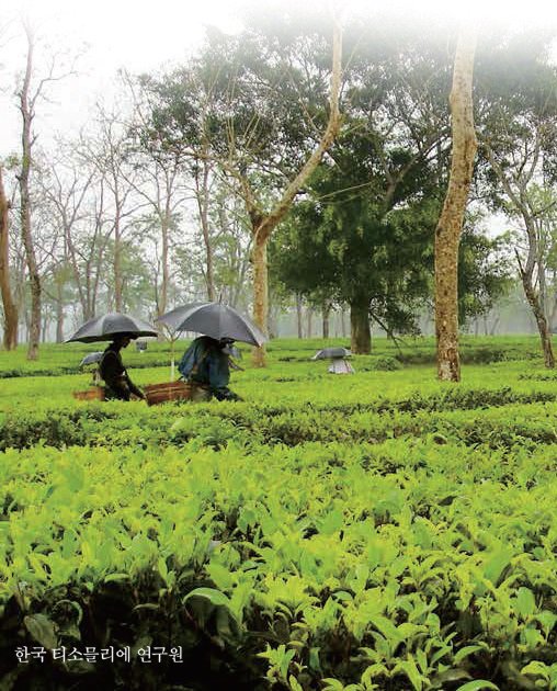 티 품질의 자연 환경적인 요소,&nbsp;테루아(Terroir)