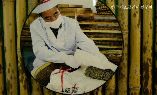 중국 6대 분류의 티 가공&nbsp;②황차