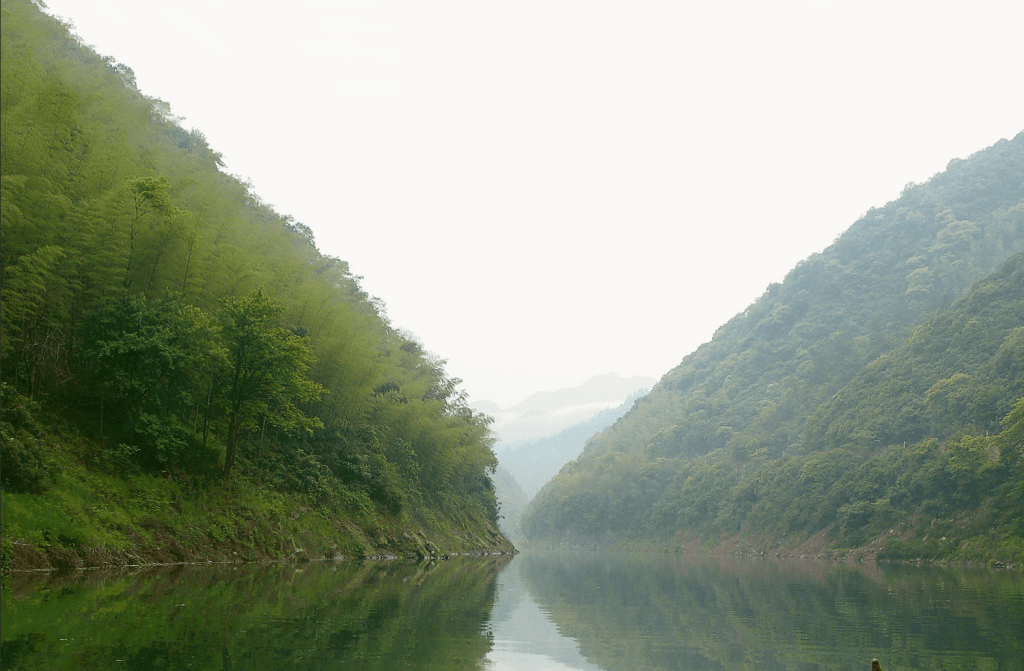 중국 6대 분류의 티 가공&nbsp;①백차