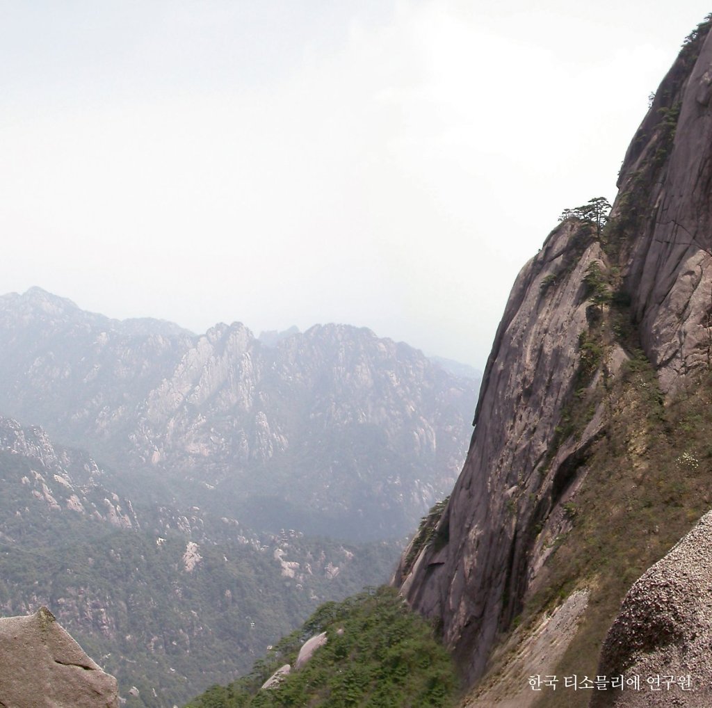 중국 티의 테루아&nbsp;1