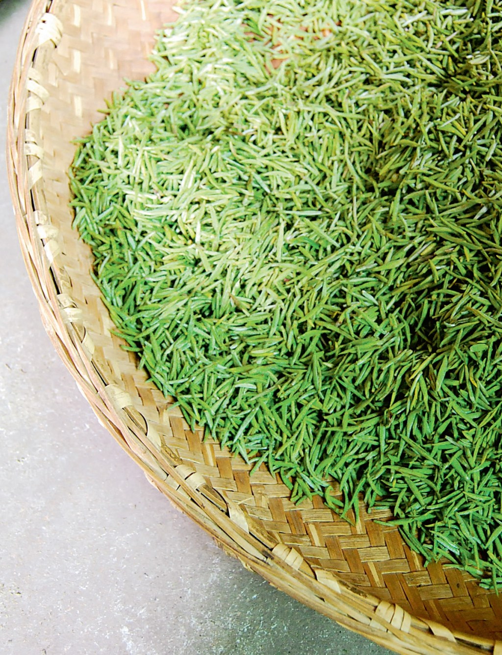 녹차(綠茶)의 제다(製茶) 과정