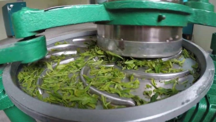 홍차와 그 제조 과정&nbsp;②