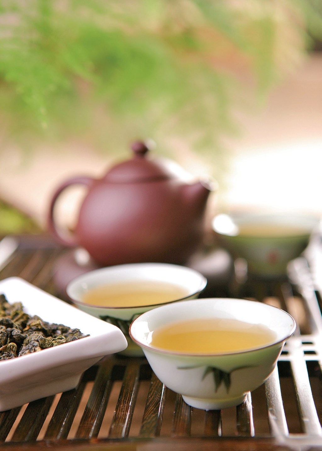 우롱차(烏龍茶)의 제다 과정