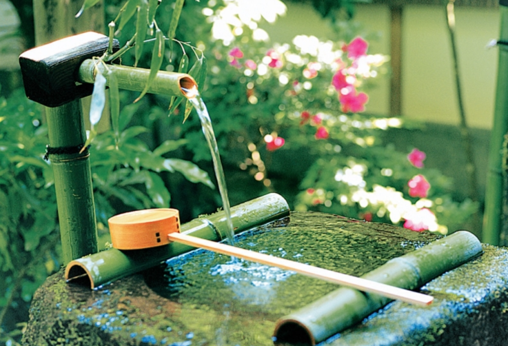 티(Tea)를 우리는 방법 ② 적당한&nbsp;물