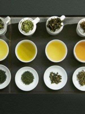 티(Tea) 전문 테이스팅&nbsp;도구